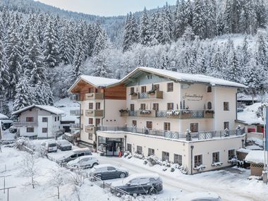 Hotel Der Schmittenhof