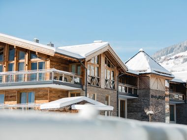DAS Wildkogel (Winter Special)
