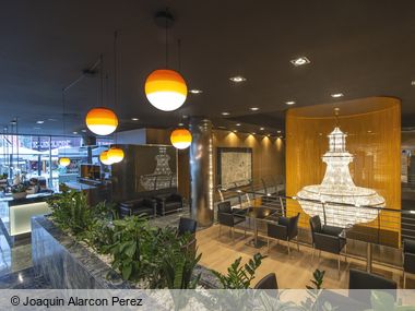 Hotel Starc