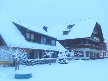 Hotel Faller