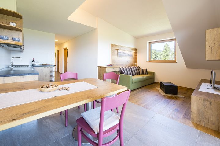 4-Pers.-Appartement (ca. 48 m², Latemar, max. 3 Erw. + 1 Kind), OV