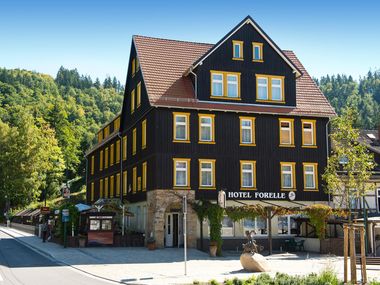 Ferien Hotel Forelle in Thale