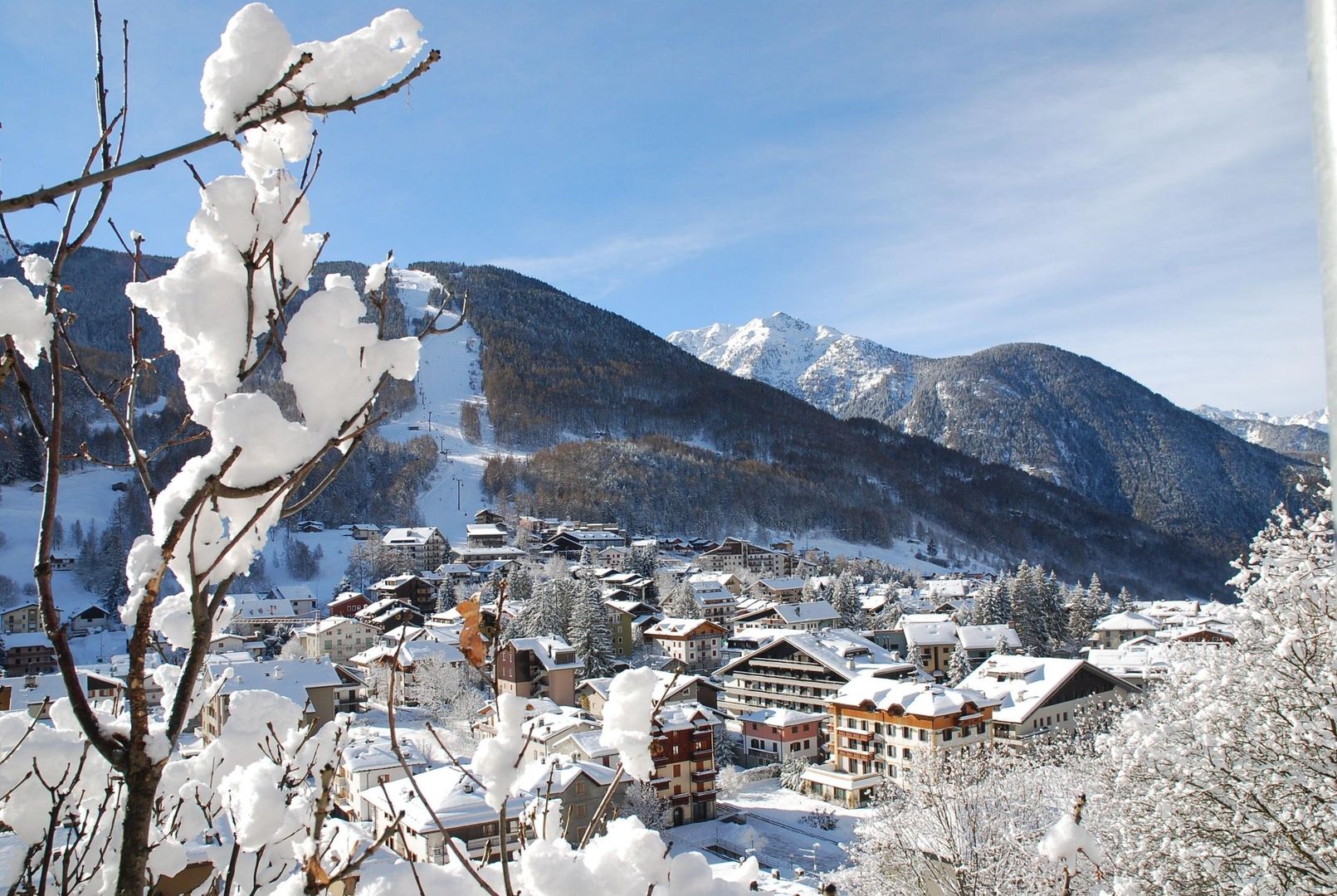 Aprica
