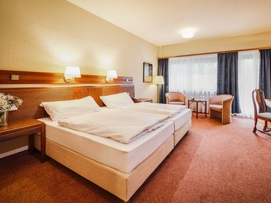 Sauerland Alpin Hotel