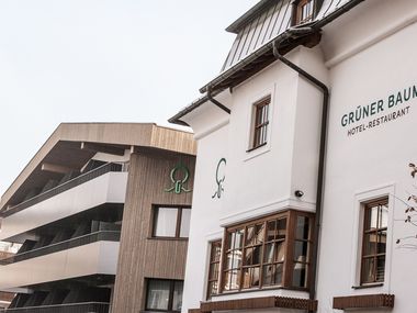 Hotel Gr&uuml;ner Baum