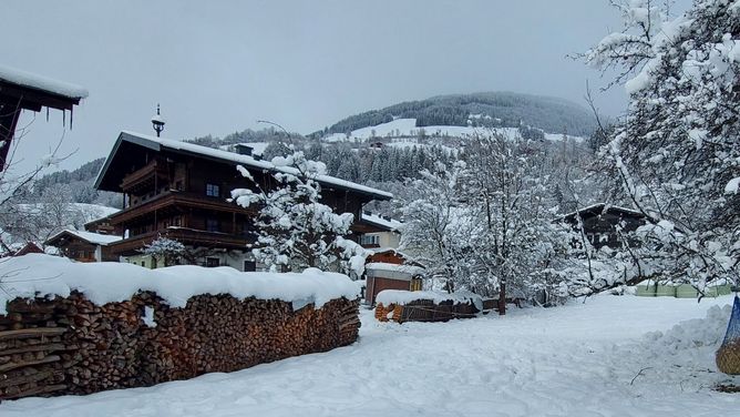 Pension Platzhaus