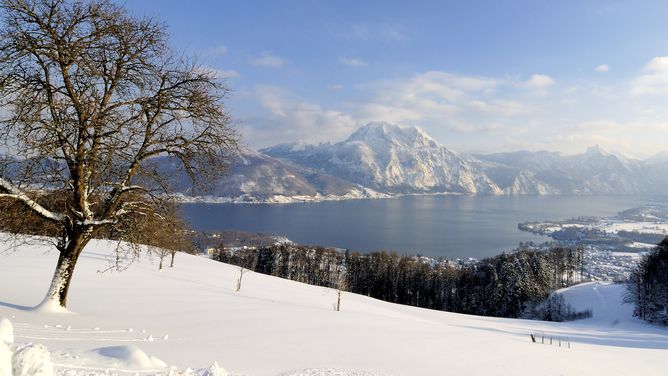 Panoramahotel Traunstein — photo 4