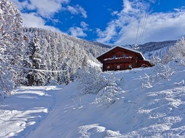 Almchalet Goldbergleiten