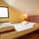 Les Chalets Du Thabor B - photo 16