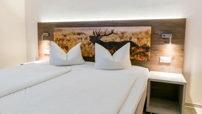 Panoramic Hotel Harz — photo 2