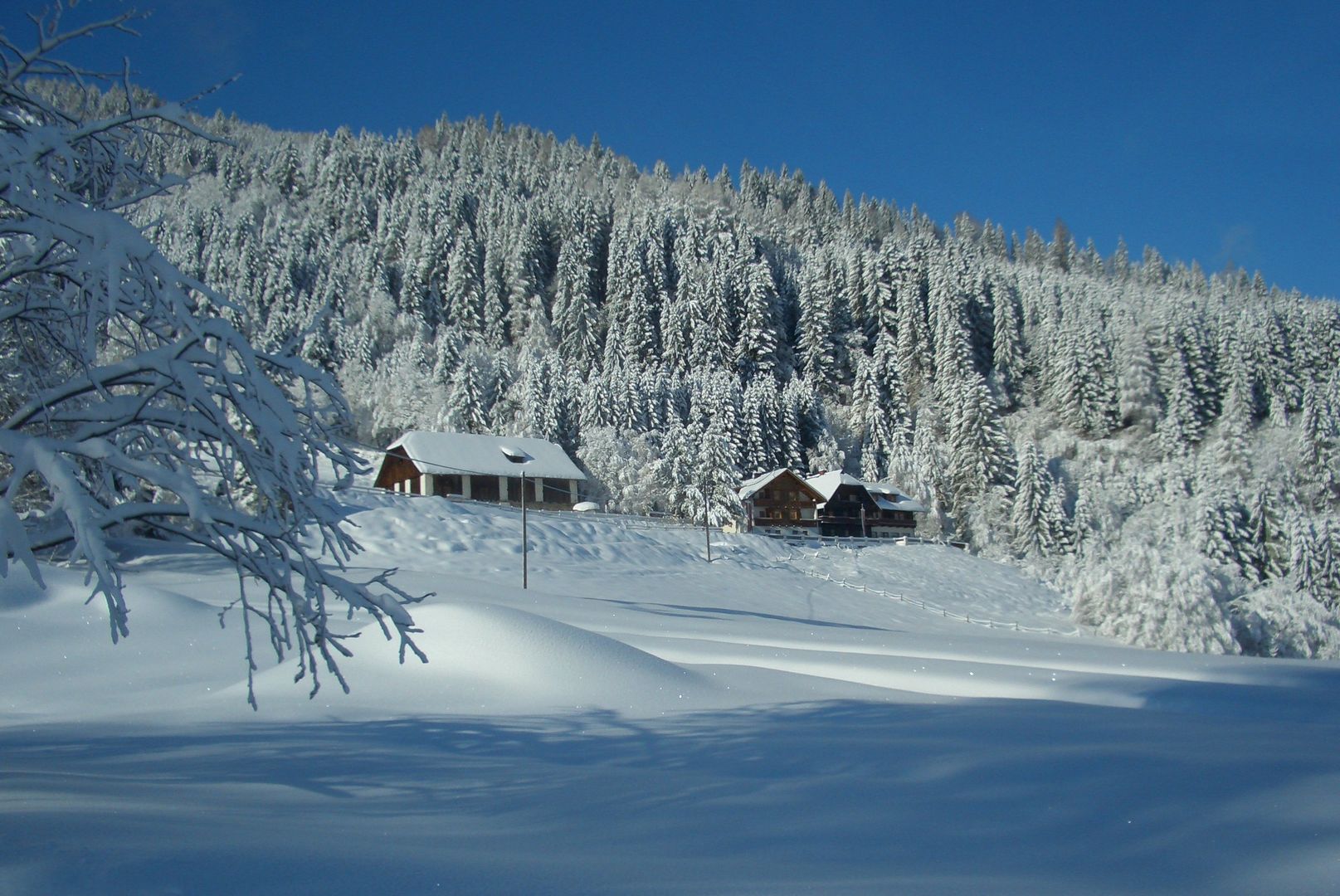 Gasthof Thurnerhof