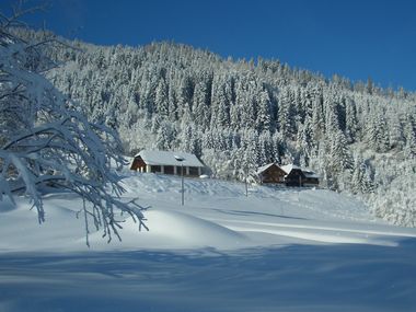 Gasthof Thurnerhof - inkl. Skipass